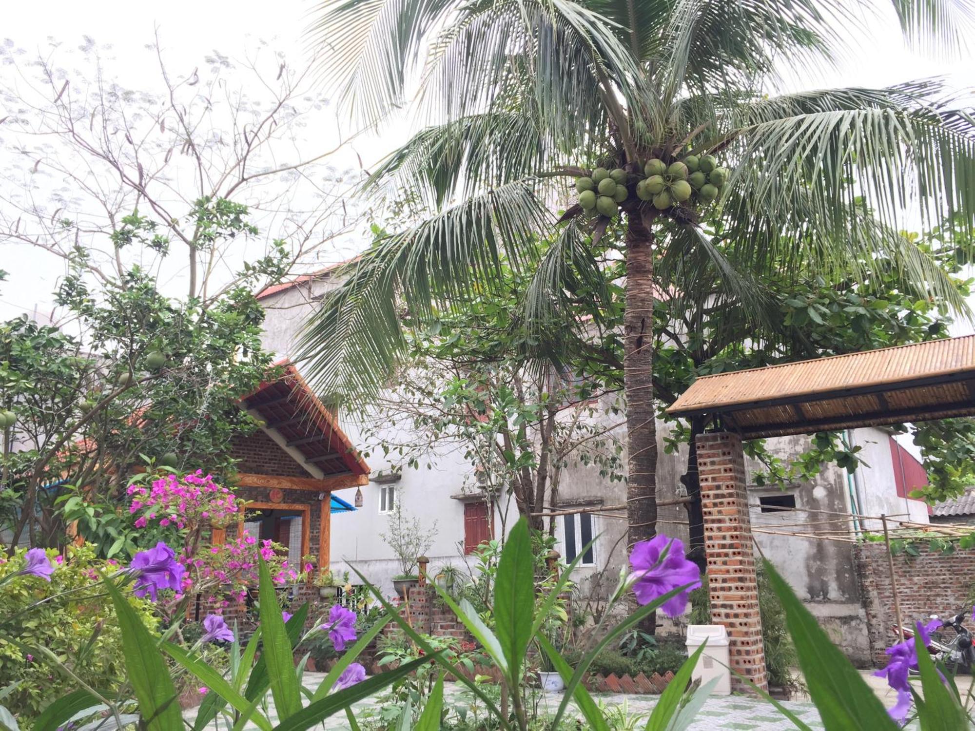 Tam Coc Vinh Thinh Homestay Ніньбінь Екстер'єр фото